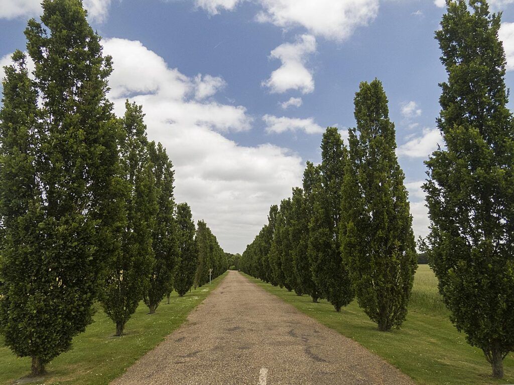 Champigny-Saint-André German War Cemetery