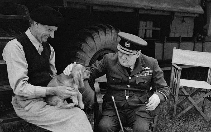 Churchill And Montgomery With Montys Dog Rommel At Chateau Creully Normandy August 1944