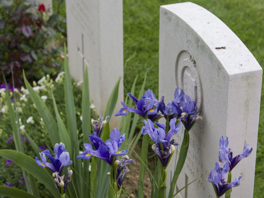 Flowers On Headstone At Ranville War Cemetery