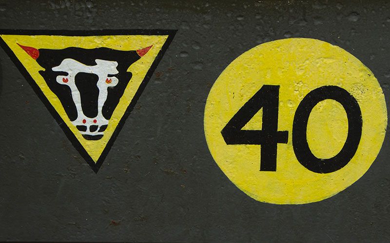 Insignia Of The 79th Armored Division