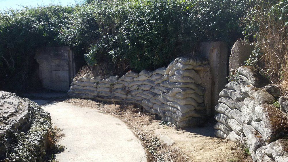 Maisy Battery