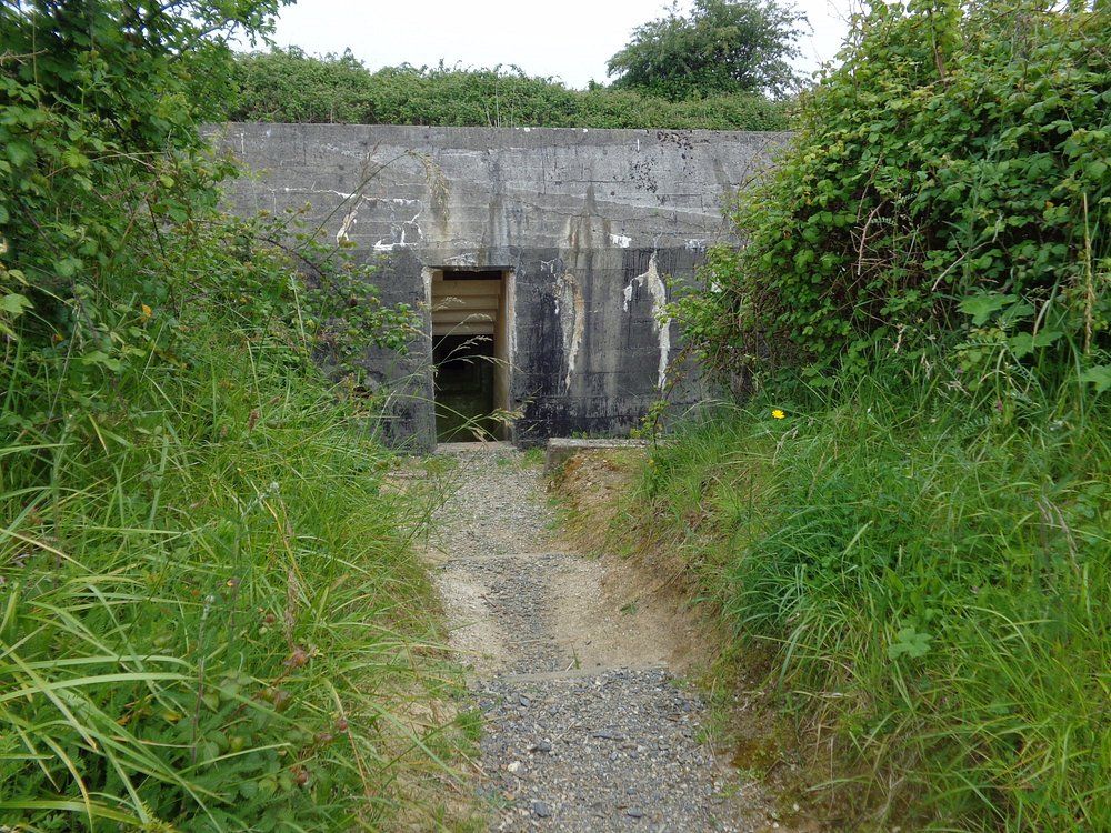 Maisy Battery