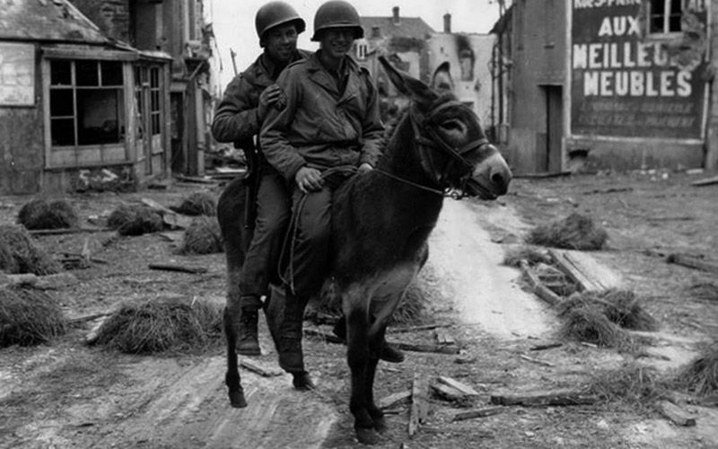 Pfc William Jackson T4 Joseph King Of The 1st Infantry Division Caumont LEvente July 8th 1944