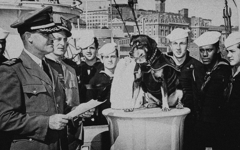 Sinbad Part Of The Crew Of Coast Guard Cutter Campbell