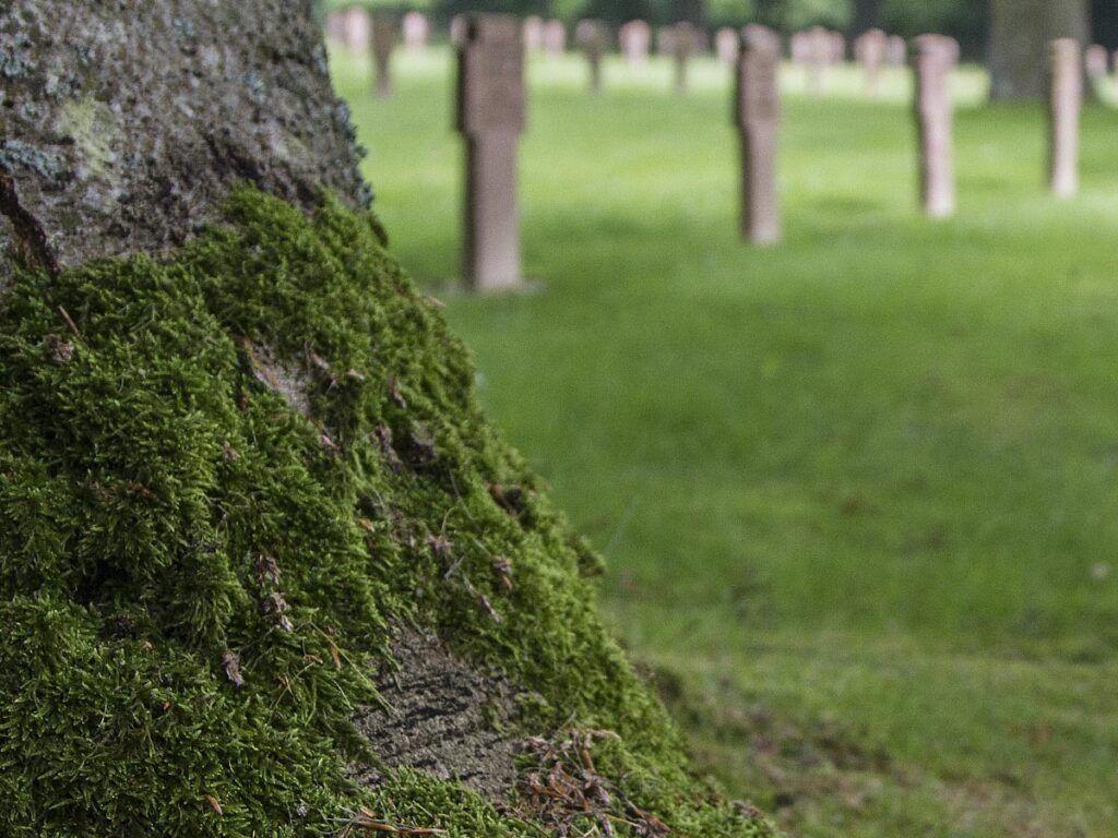 St-Désir-de-Liseux German War Cemetery