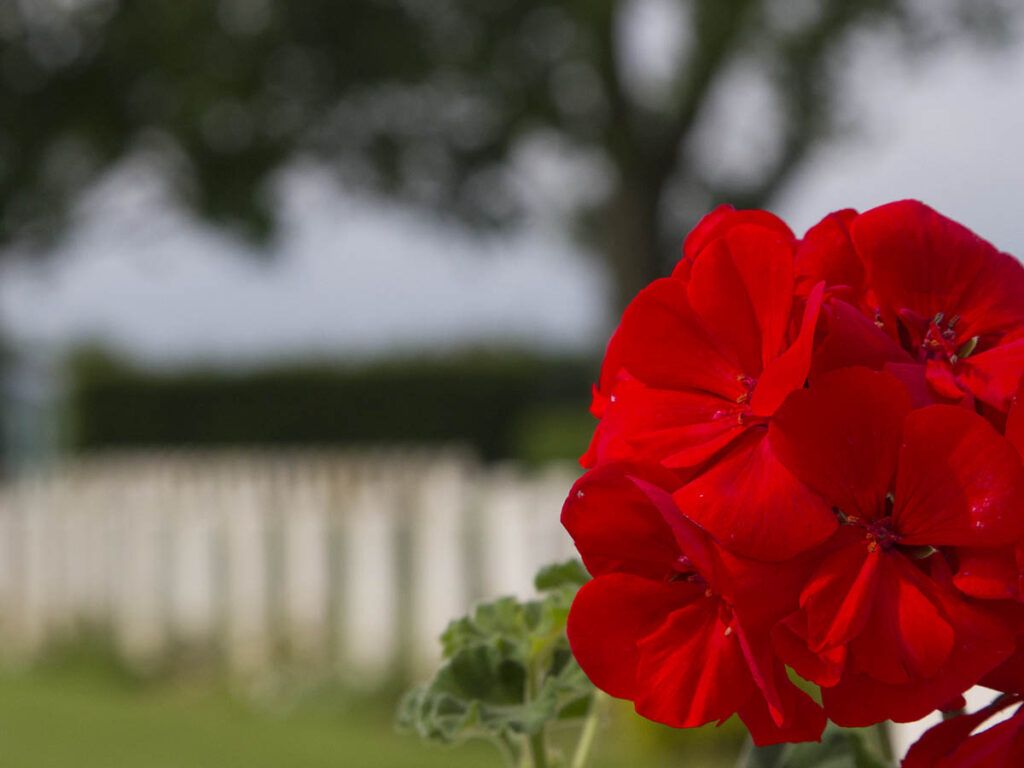 St. Manvieu War Cemetery